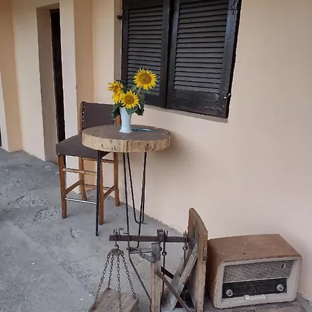 Seosko Domacinstvo-nedodjija Country house