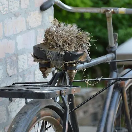 Seosko Domacinstvo-nedodjija カントリーハウス *