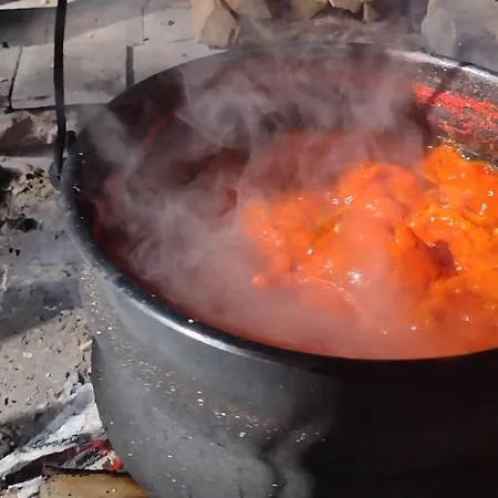 Seosko Domacinstvo-nedodjija カントリーハウス アパティン