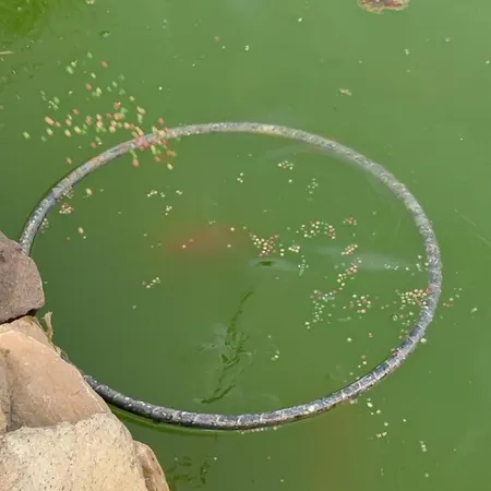 Seosko Domacinstvo-nedodjija カントリーハウス アパティン