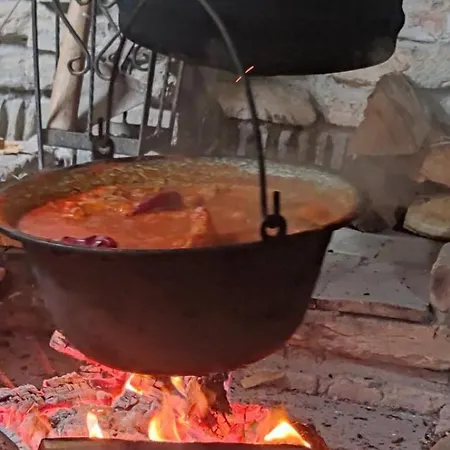 Seosko Domacinstvo-nedodjija * Apatin